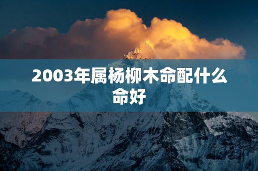 2003年属杨柳木命配什么命好