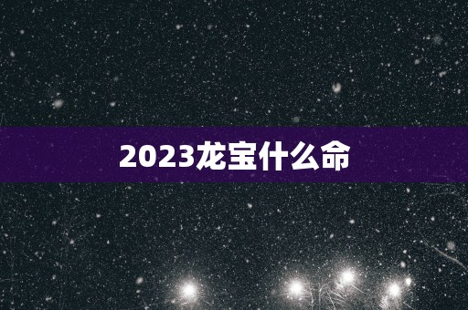 2025龙宝什么命