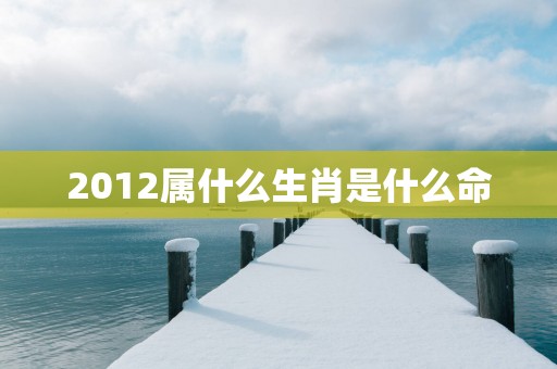 2012属什么生肖是什么命