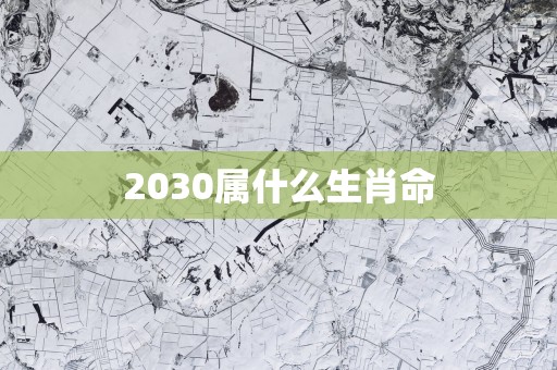 2030属什么生肖命
