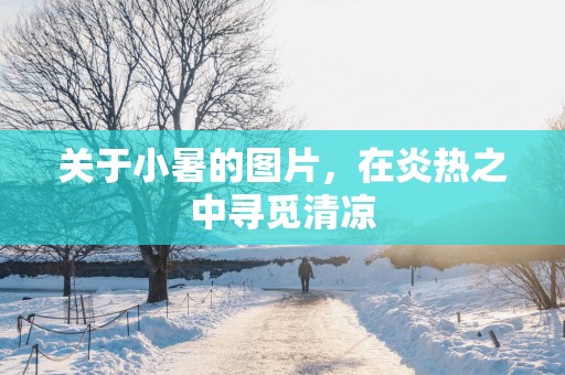 关于小暑的图片，在炎热之中寻觅清凉