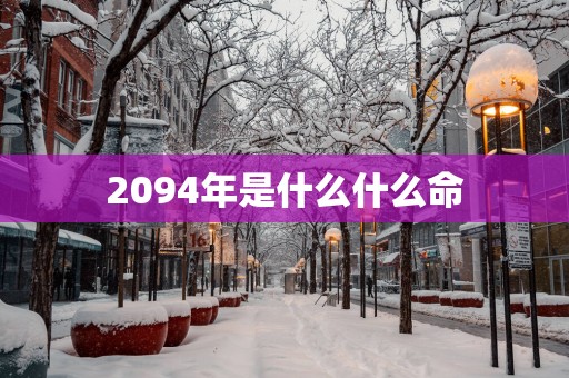 2094年是什么什么命