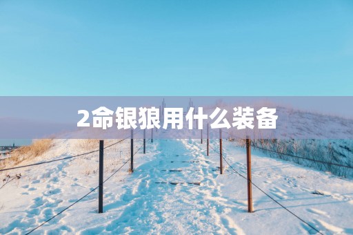 2命银狼用什么装备