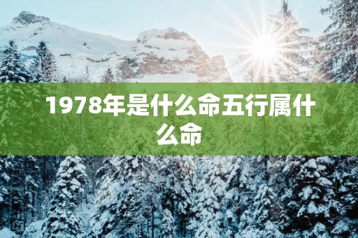 1978年是什么命五行属什么命