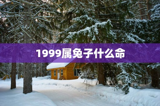 1999属兔子什么命