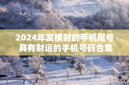 2025年发横财的手机尾号 具有财运的手机号码合集