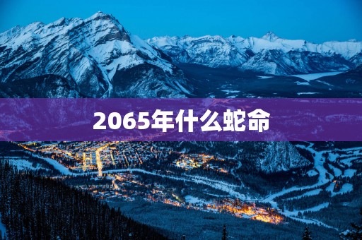 2065年什么蛇命