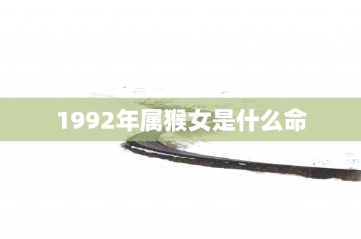 1992年属猴女是什么命