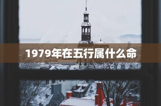 1979年在五行属什么命