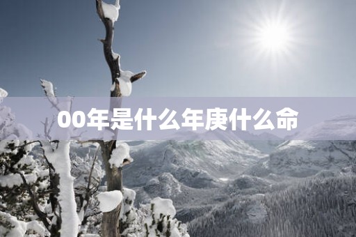 00年是什么年庚什么命