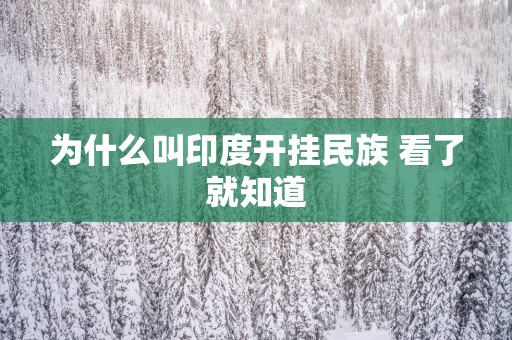为什么叫印度开挂民族 看了就知道