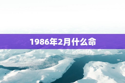 1986年2月什么命