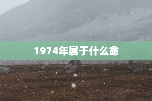 1974年属于什么命