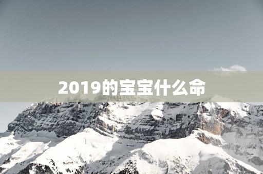 2019的宝宝什么命