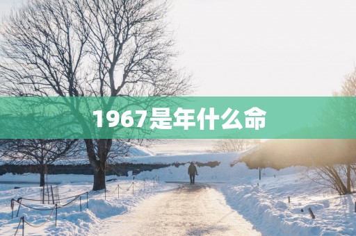 1967是年什么命