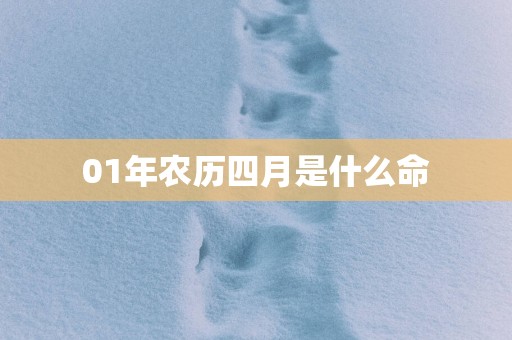 01年农历四月是什么命