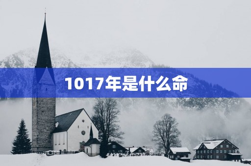 1017年是什么命