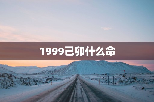 1999己卯什么命