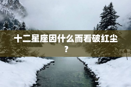 十二星座因什么而看破红尘？