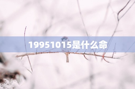 19951015是什么命