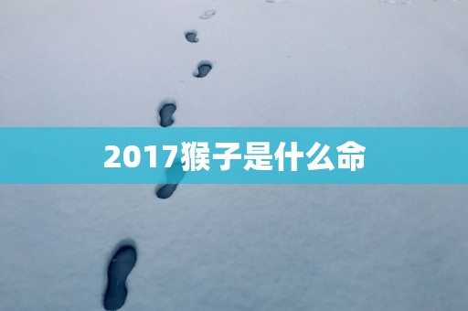 2017猴子是什么命