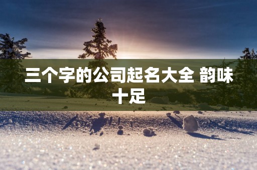 三个字的公司起名大全 韵味十足