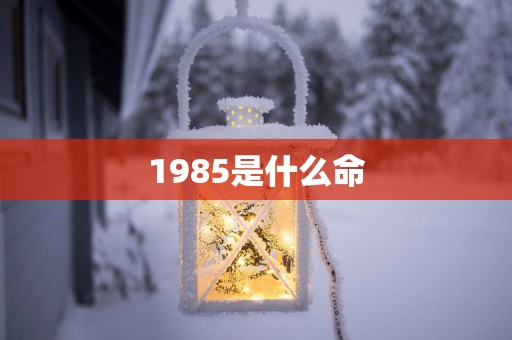 1985是什么命