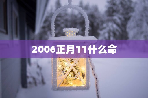 2006正月11什么命