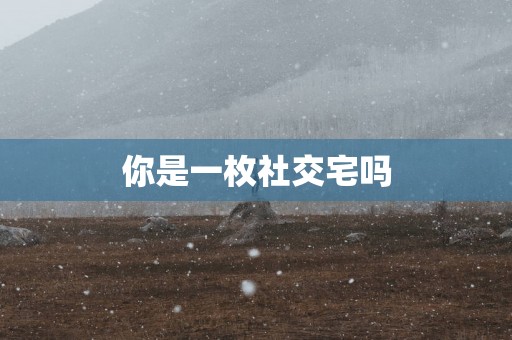 你是一枚社交宅吗
