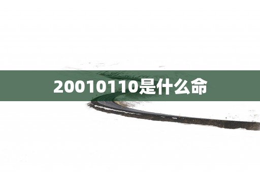 20010110是什么命