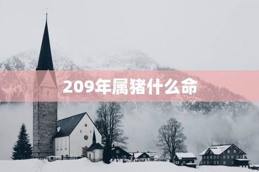 209年属猪什么命