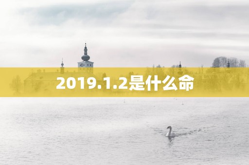 2019.1.2是什么命
