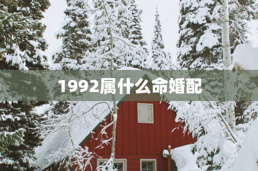 1992属什么命婚配