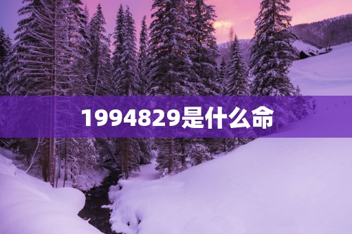 1994829是什么命