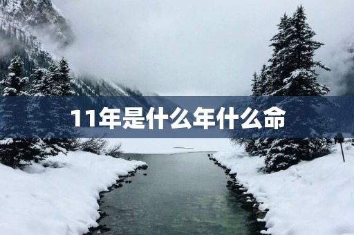 11年是什么年什么命