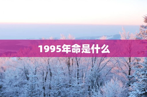 1995年命是什么
