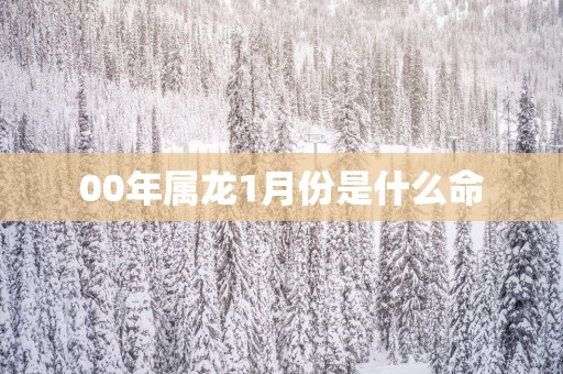 00年属龙1月份是什么命