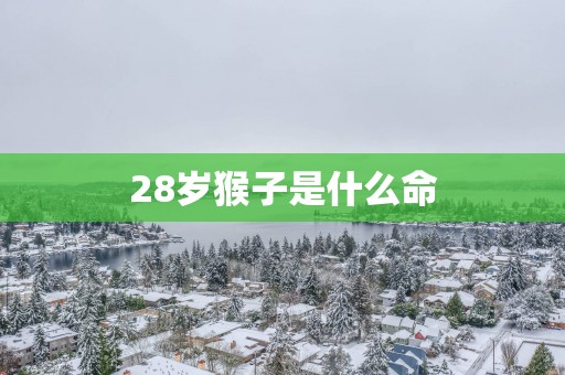 28岁猴子是什么命