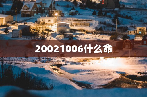20021006什么命