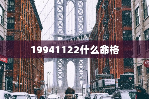 19941122什么命格