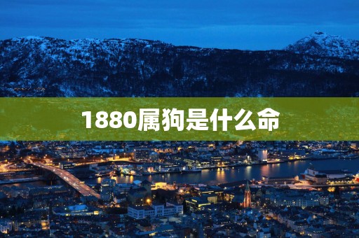 1880属狗是什么命