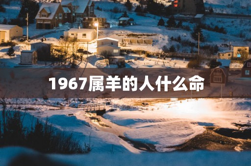1967属羊的人什么命