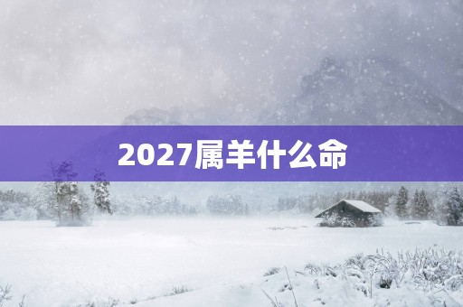 2027属羊什么命