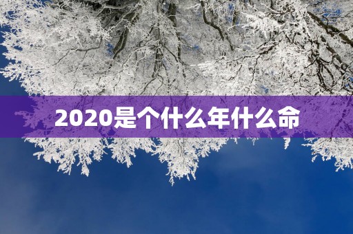 2025是个什么年什么命