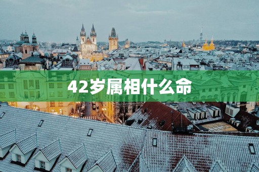 42岁属相什么命