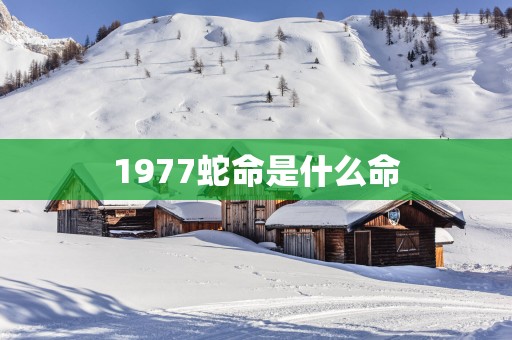 1977蛇命是什么命