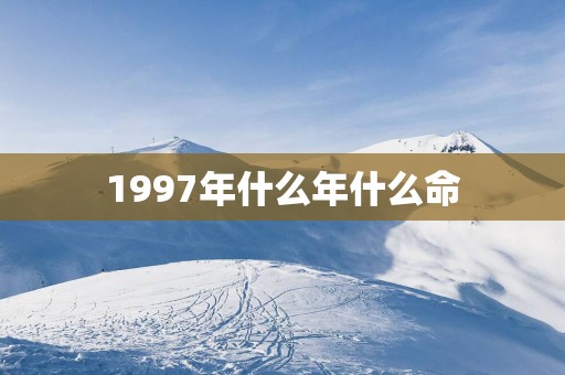 1997年什么年什么命