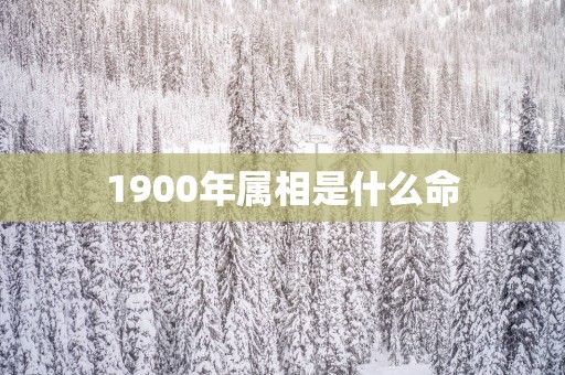 1900年属相是什么命