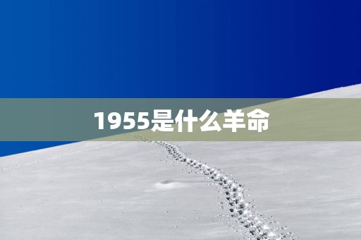 1955是什么羊命