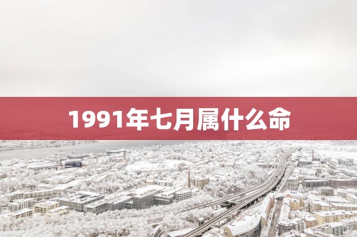1991年七月属什么命